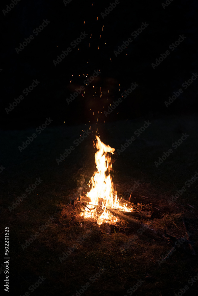 Bonfire in the woods on a beautiful night in the mountains Bonfire in the woods on a beautiful night in the mountains
