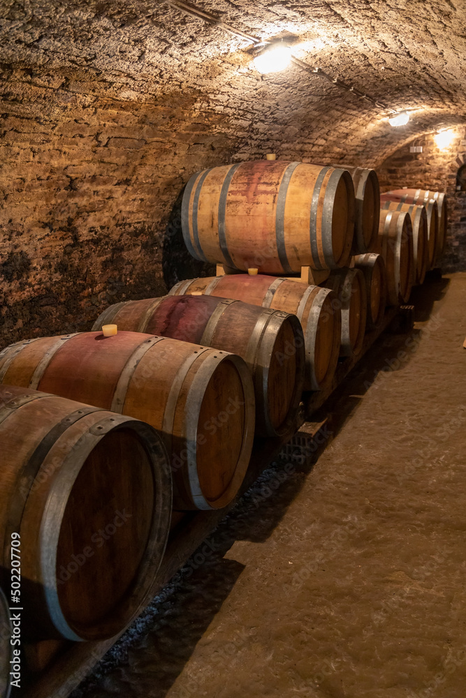 wine cellar with wooden barrels in Hajos, Southern Transdanubia,Hungary