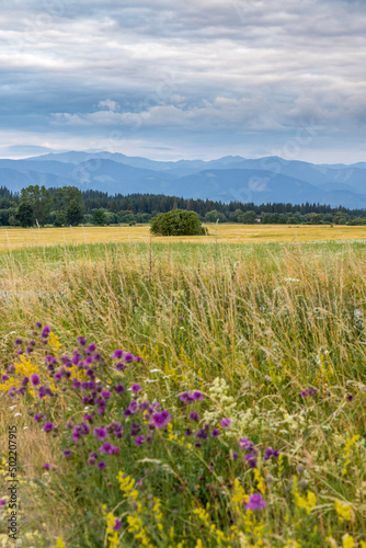 Nizke Tatry (Low Tatras), Slovakia