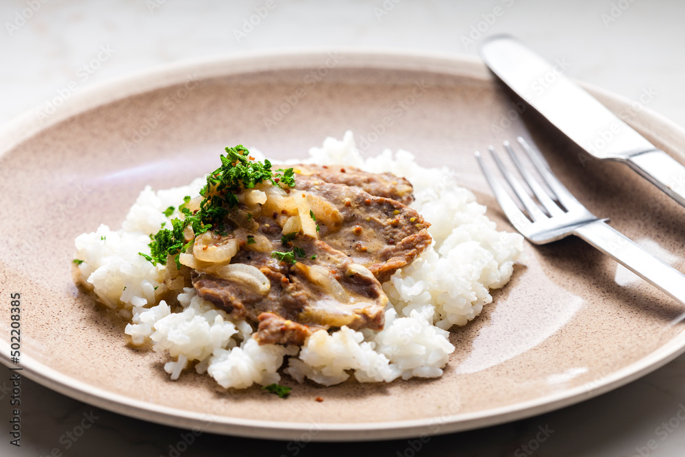 pork meat with onion sauce and rice pork meat with onion sauce and rice
