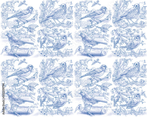 Garden birds montage. Robin, song thrush, blue tit & chaffinch. Blue on white.
