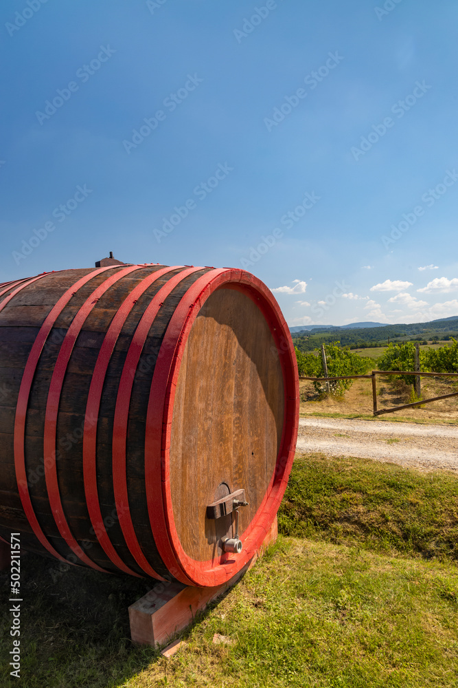 Obraz premium Wine barrel in vineyard, Tuscany, Italy