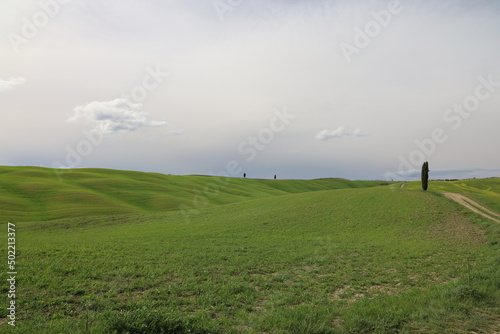 Obraz na płótnie tuscany green nature w salonie