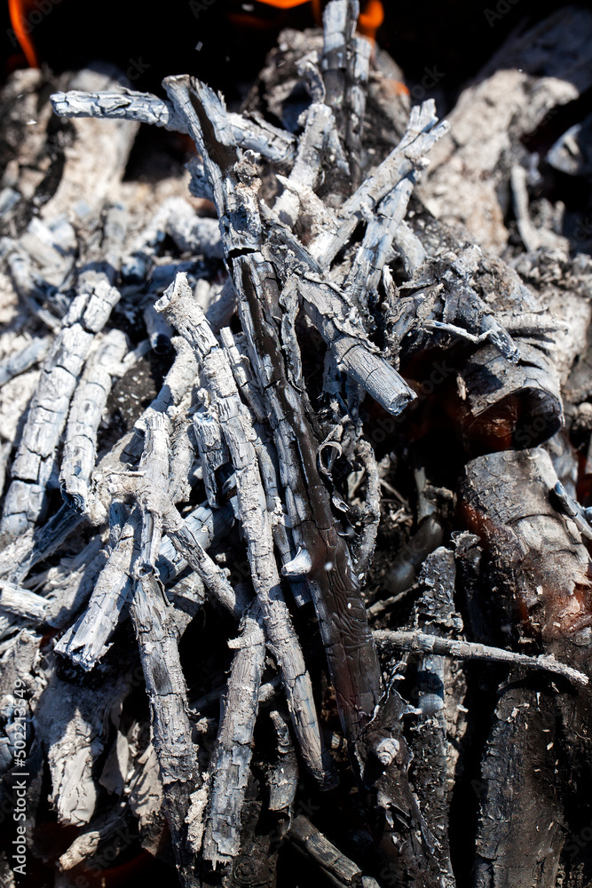 orange flame of fire while burning branches and firewood