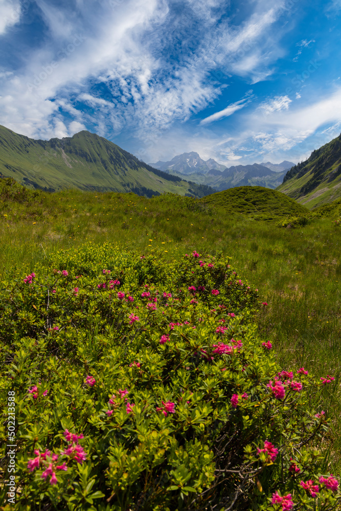 Fototapeta premium Typical alpine landscape in early summer near Damuls, Vorarlberg, Austria