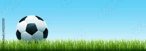 Soccer ball in the grass. Banner of soccer ball on green grass. Football concept. Vector stock
