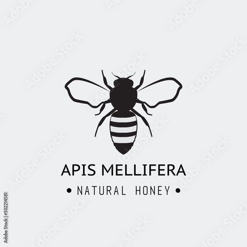 Realistic black bee emblem with text. Apis mellifera realistic black image. Bee logo. © ikonstudio