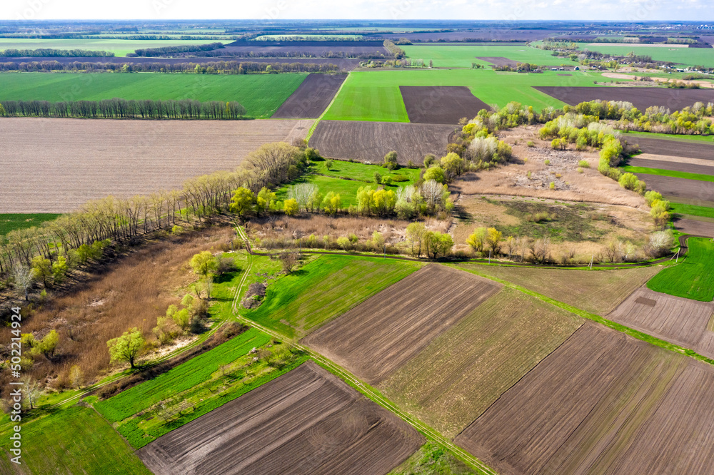 Aerial view to spring landscape with green fields at Ukraine
