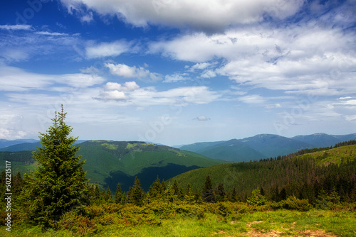 Mountain peaks, forest, clouds and blue sky