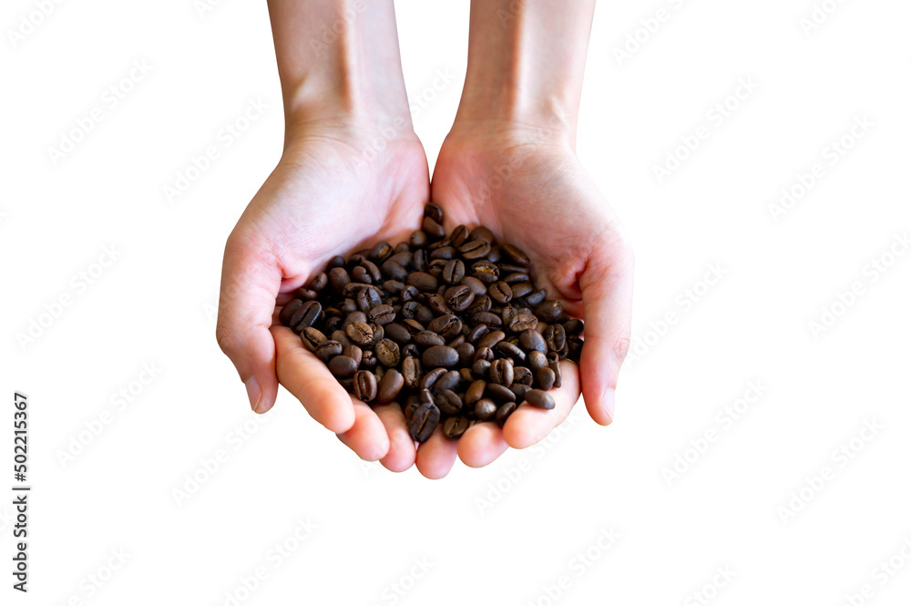 Coffee beans roasted in hands shaped isolated on white background Coffee beans roasted in hands shaped isolated on white background