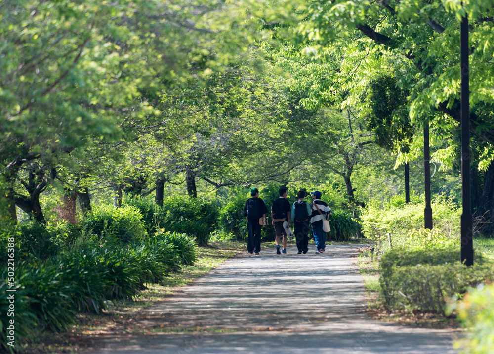 初夏の公園で散歩している小学生の男子生徒たち 初夏の公園で散歩している小学生の男子生徒たち