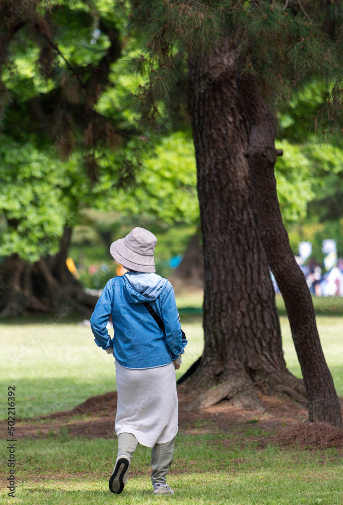 夏の公園で散歩している若い女性の姿 夏の公園で散歩している若い女性の姿