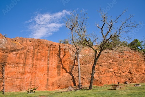 Old tree in Red Rock Canyon State Park (SP) in the State of Oklahoma, USA