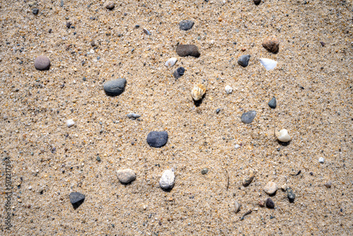 Cape Cod in springtime close up view of pebbles on the beach at Head of the Meadow