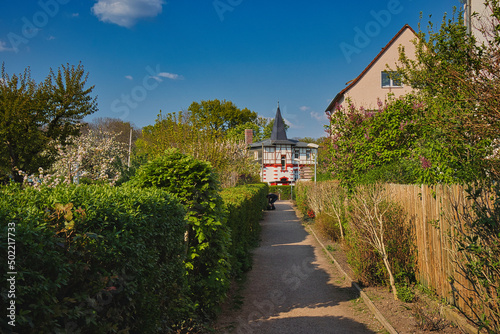 Weg in einer Gartenanlage mit Hecke, Garten, Leipzig, Deutschland