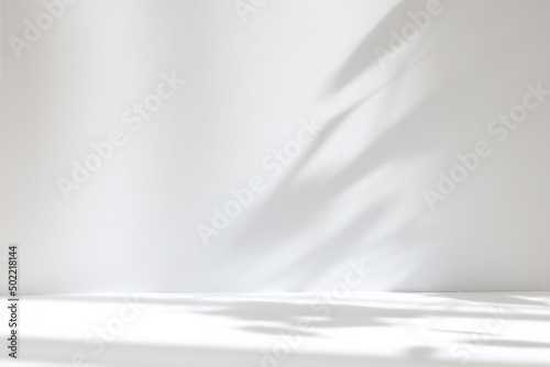 Abstract white studio background for product presentation. Empty room with shadows of window and flowers and palm leaves . 3d room with copy space. Summer concert. Blurred backdrop.