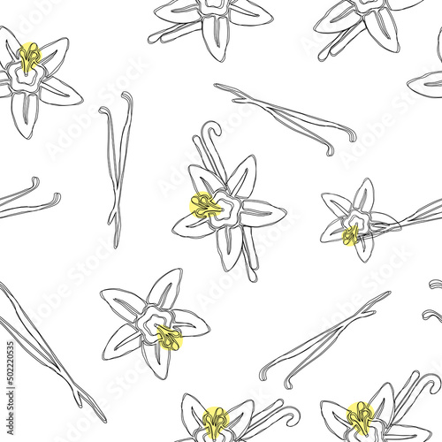 Hand draw seamless pattern with vanilla pods and flower. Vanilla hand drawn sketch vector illustration on white. Vanilla stick. Dessert spice in vintage style. Doodle design cooking ingredient