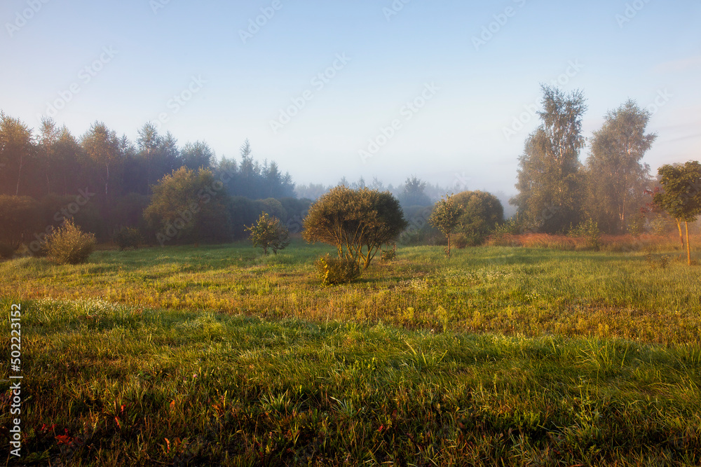 nature in the autumn season on a foggy morning