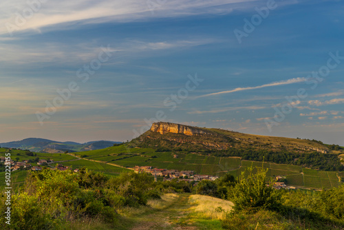 Rock of Vergisson with vineyards, Burgundy,France photo