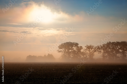 nature in the autumn season on a foggy morning © rsooll