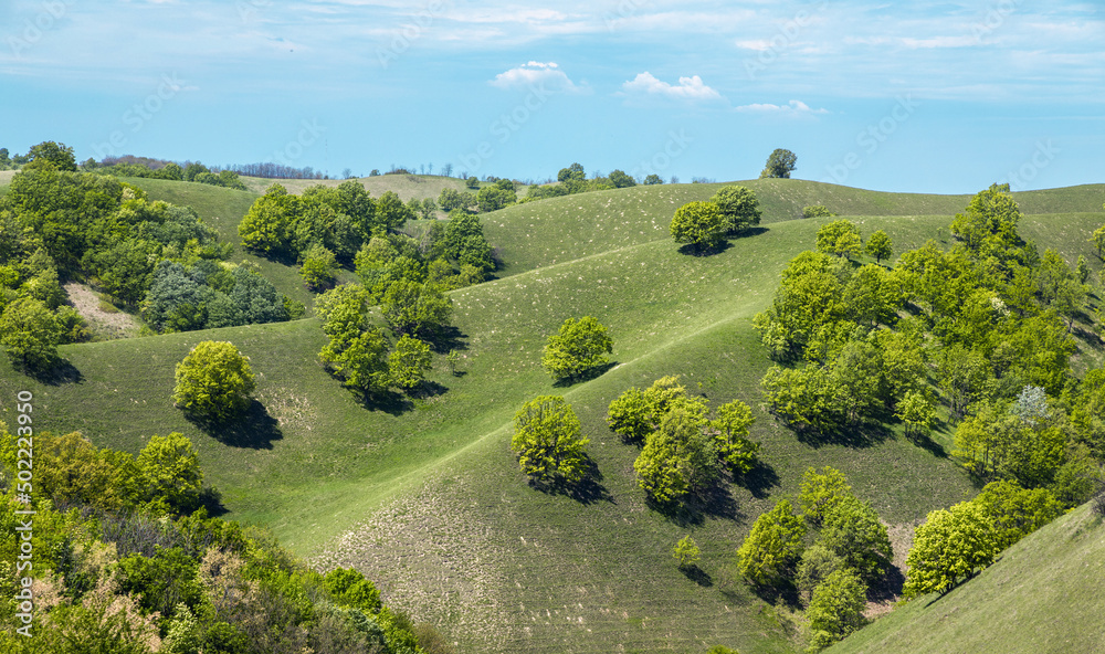 Beautiful green hills, pastures and trees of Zagajicka brda in Serbia near Vrsac - obrazy, fototapety, plakaty 