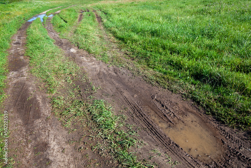 unpaved road with different plants growing on the side of the road