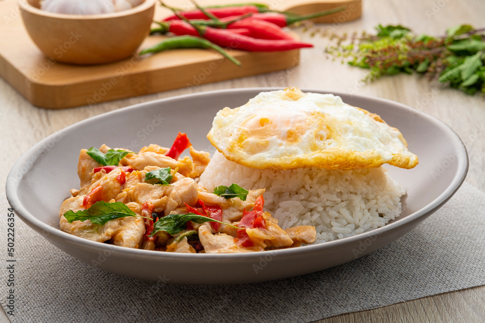 Rice with stir-fried sliced chicken and basil with topped fried egg,Thai food
