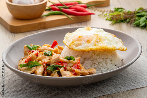 Rice with stir-fried sliced chicken and basil with topped fried egg,Thai food