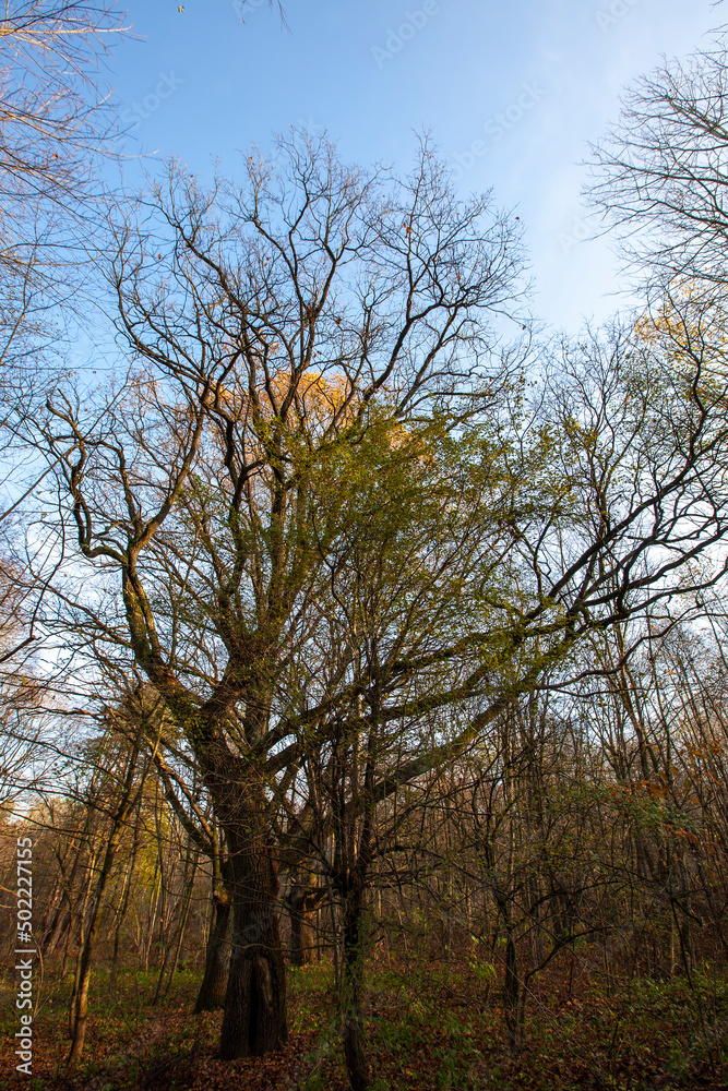 changes in nature during the autumn season changes in nature during the autumn season