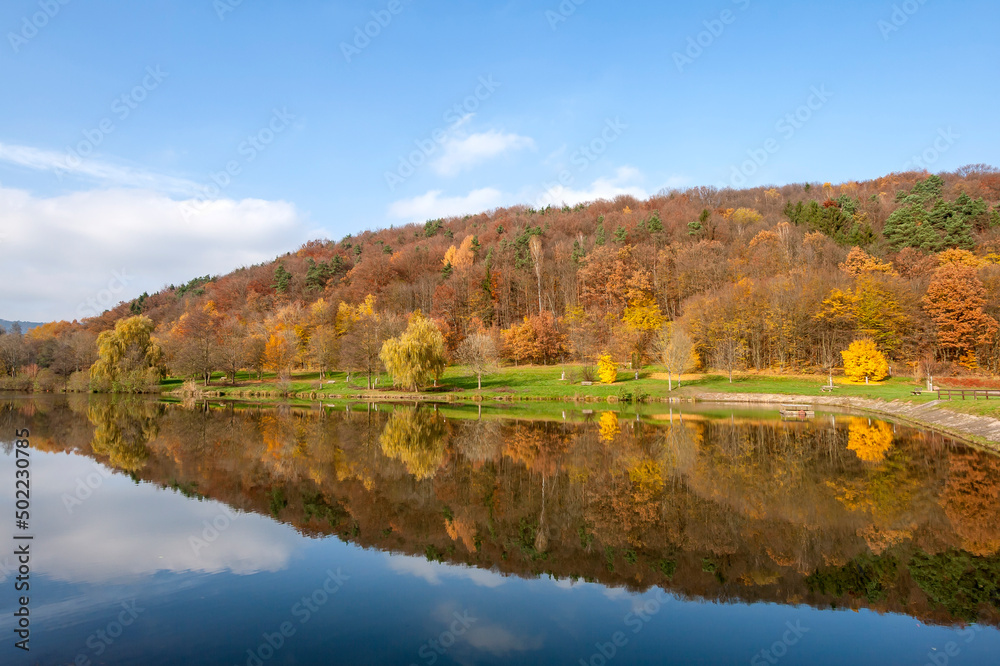 Silzer See im Herbst, Pfalz