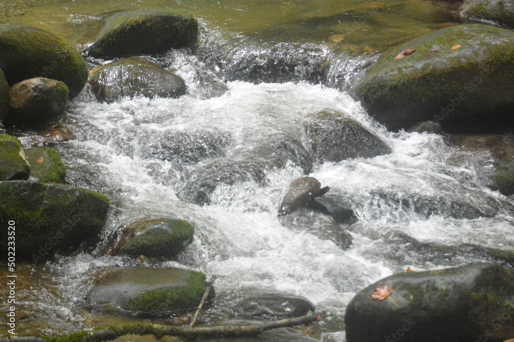 Natural Beauty of the Smokies, Streams and White Water