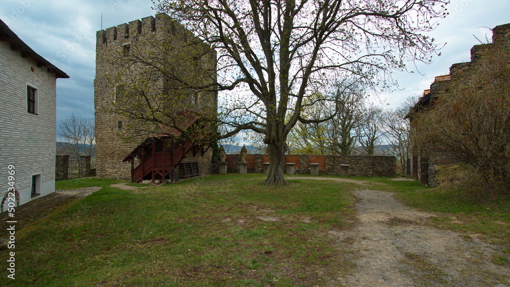 Obraz premium Architecture of the castle Klenova at Janovice nad Uhlavou,Klatovy district,West Bohemia,Czech Republic,Europe,Central Europe 