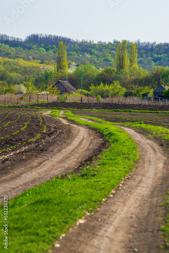 country landscape spring winding road. field, village, Curving road between fields and trees, Purcari, Moldova photo