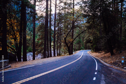 Empty road leading through fall foliage at California with yellow lines in the forest in Mountains in Fall