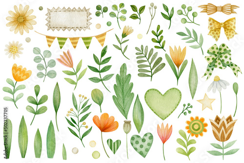 Set of cute watercolor illustrations of flowers, leaves, branches isolated on white background.