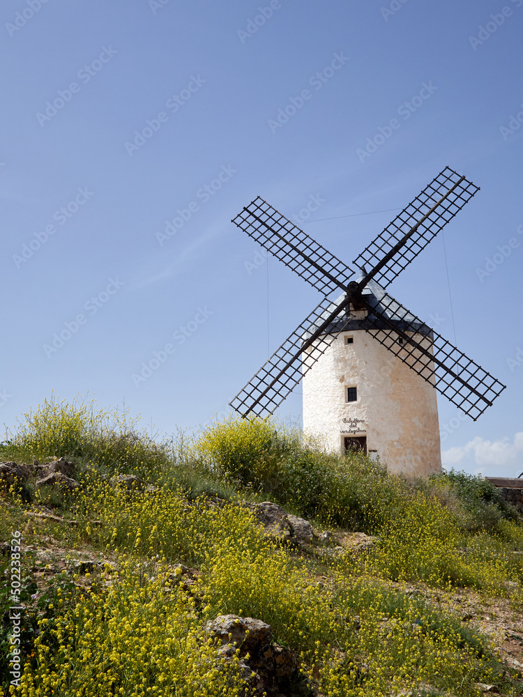 Ancient windmill in the hill Calderico in Consuegra,  route of Don Quixote. Province of Toledo, Castilla La Mancha,  Spain, Europe