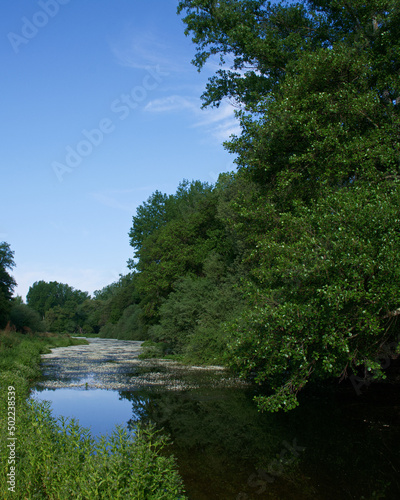 krajobraz rzeka woda drzewa natura widok