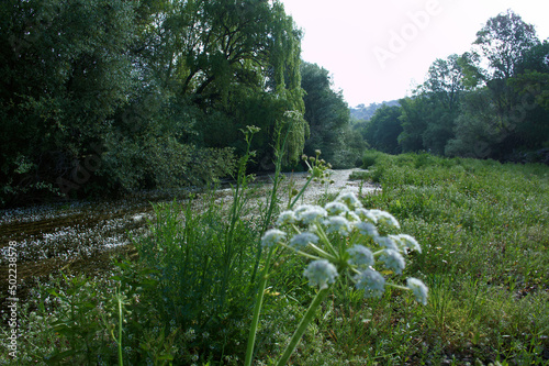 krajobraz rzeka woda drzewa natura widok