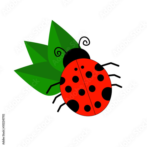 ladybug on green leaf