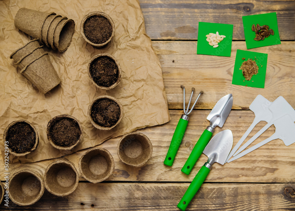 Top view of seeds and garden tools on a wooden background. Growing seedlings using peat cups. Top view of seeds and garden tools on a wooden background. Growing seedlings using peat cups.