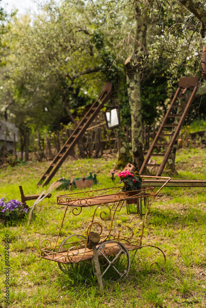 Fototapeta premium garden with old rusty ladders and cart