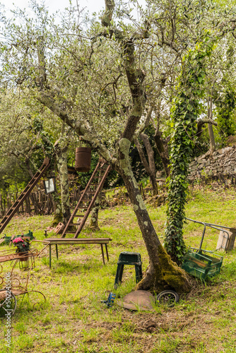 garden with old rusty ladders, pots and cart