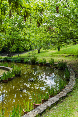 pond at the iris garden in Florence, Italy surrounded by trees 