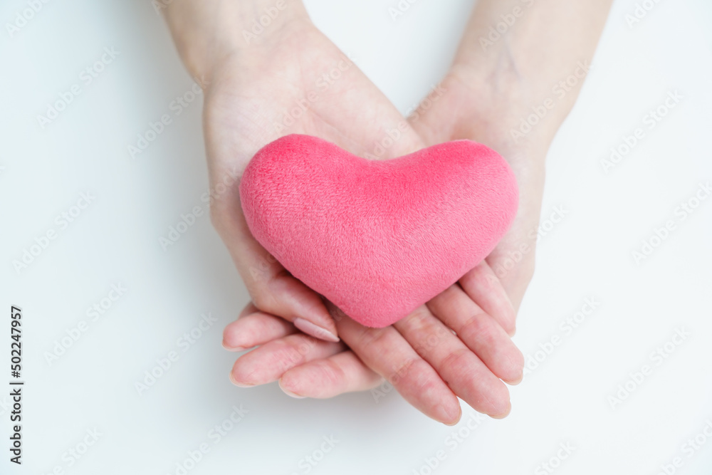 Fototapeta premium ハートを持つ女性の手
