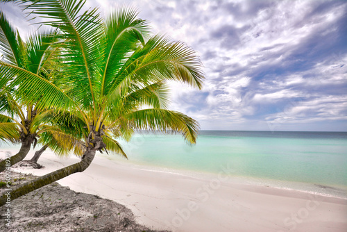 Fototapeta Naklejka Na Ścianę i Meble -  Tropical island beach 