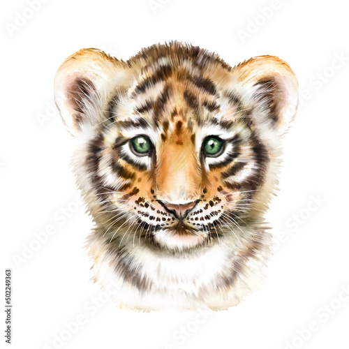 Little tiger watercolor picture, naturalistic picture of tiger cub, tiger head, cute little tiger, African animal wall art
