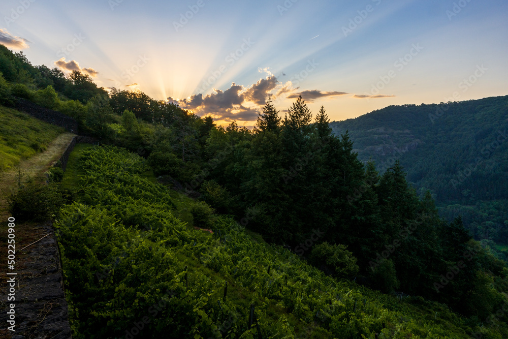 Lever du soleil sur les coteaux des Palhàs, vallée de l'Alagnon, Molompize, Cantal, Auvergne-Rhône-Alpes, France