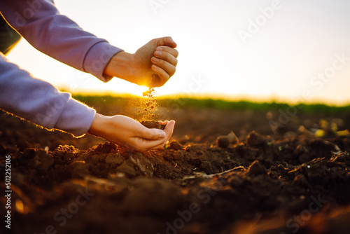 Female hands touching soil on the field at sunset. Agriculture, organic gardening, planting or ecology concept.  photo