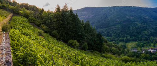 Lever du soleil sur la vallée de l'Alagnon et ses Palhàs, Molompize, Cantal, Auvergne-Rhône-Alpes, France photo