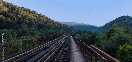 Old railway bridge in the Carpathian mountains